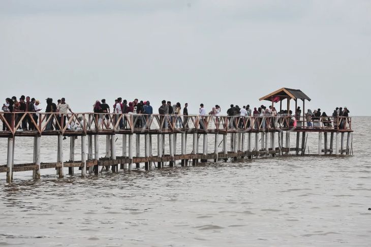 Wisata hutan bakau di Jambi