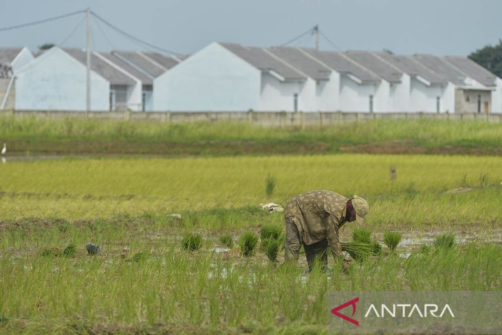 Pergeseran fungsi lahan pertanian menjadi perumahan