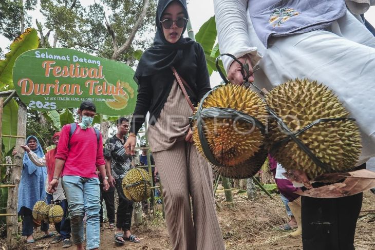 Festival Durian Teluk 2025 di Batanghari