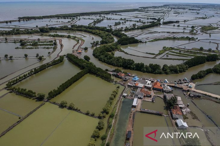 Rencana revitalisasi tambak di wilayah Pantura