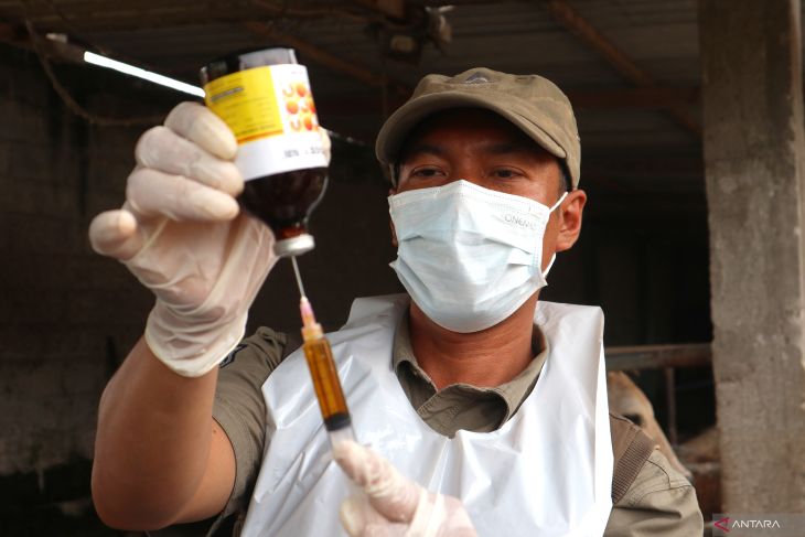 Vaksin penyakit mulut dan kuku di Jombang