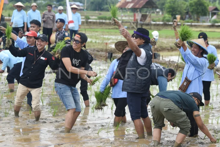 Penanaman padi bersama Slank di bekas lahan tambang batu bara