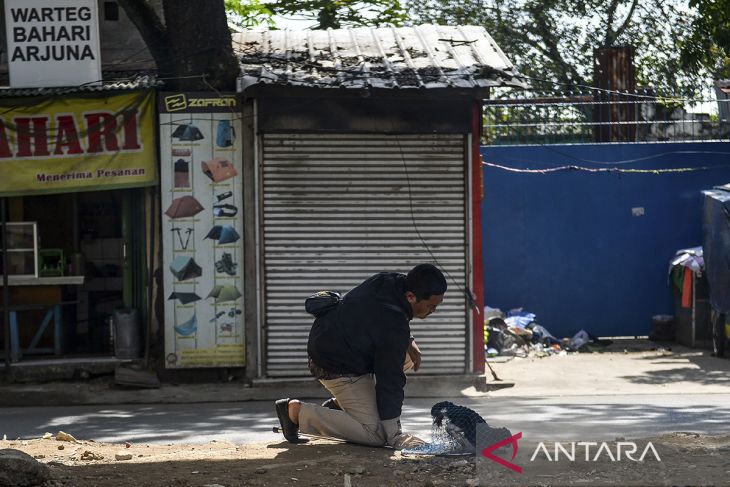 Program kontrol populasi kucing di Bandung