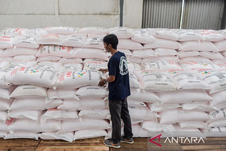 Serapan pupuk subsidi di Banten meningkat