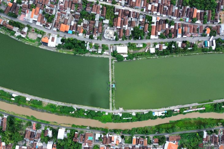 Long storage Kalimati