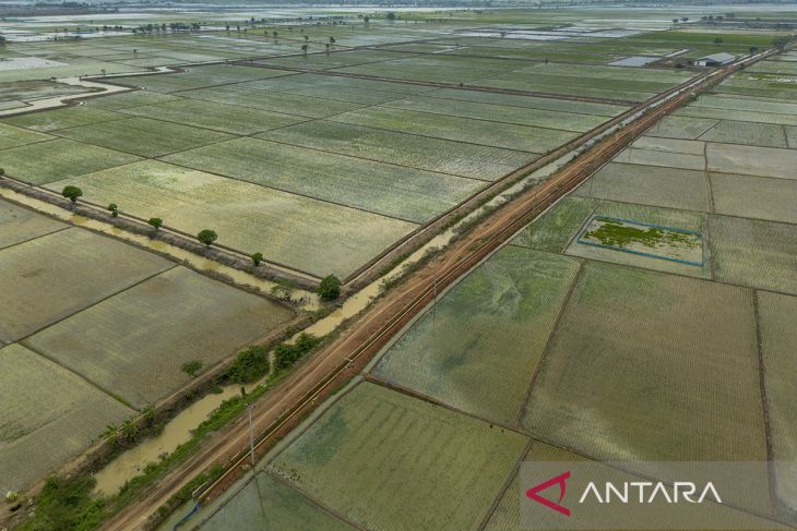 Penerapan sistem Irigasi Padi Hemat Air