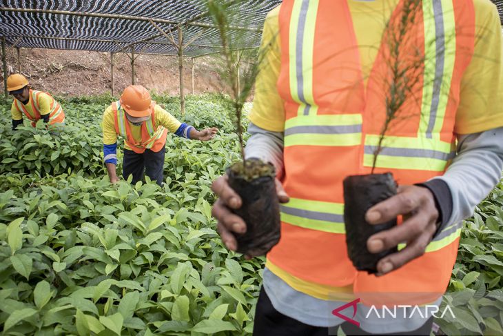 Aksi penanaman pohon di Kabupaten Cianjur