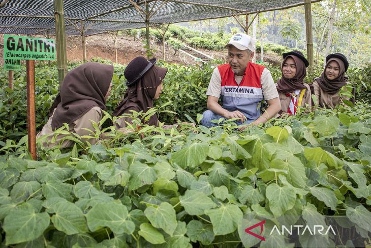 Aksi penanaman pohon di Kabupaten Cianjur