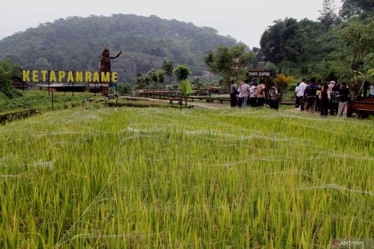 Desa Wisata Ketapanrame Mojokerto