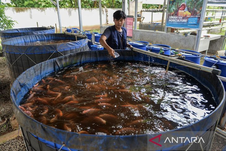 Peningkatan produksi perikanan budi daya