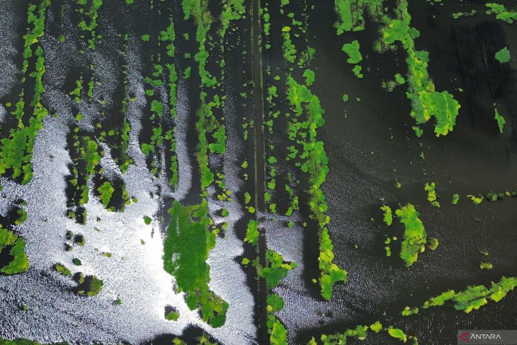 Banjir di Beji Pasuruan