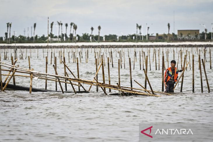 TNI AL dan nelayan bongkar pagar laut di Tangerang