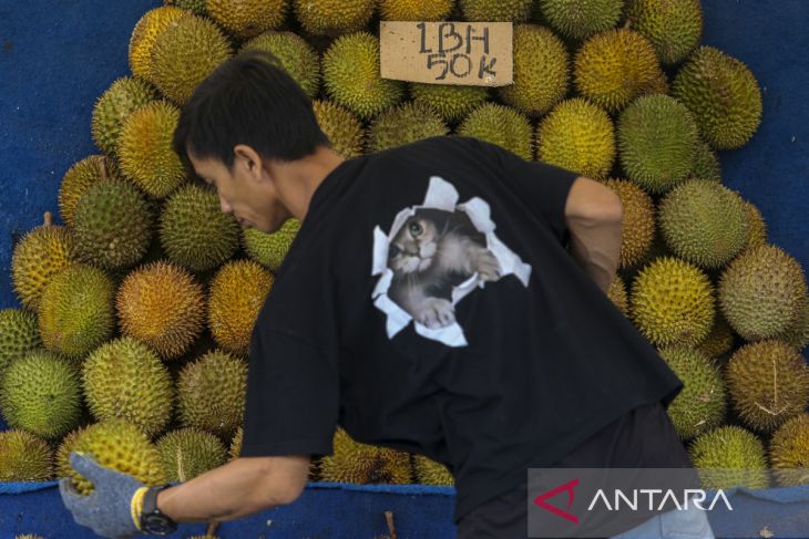 Nilai ekspor durian Indonesia tahun 2024