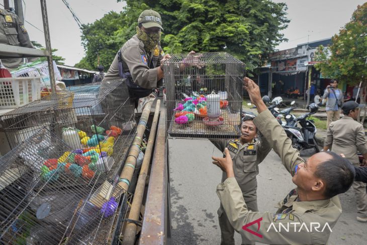 Relokasi pedagang Pasar Ikan Hias Taman Sari