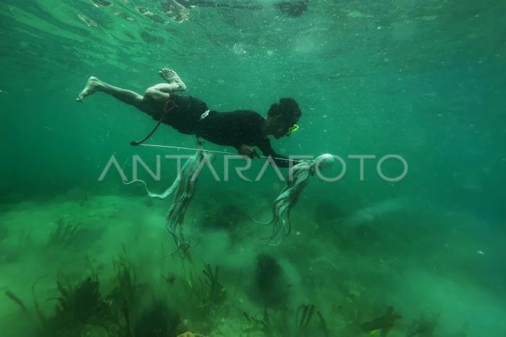 Nelayan suku Bajo memegang gurita hasil buruannya di Selat Muna