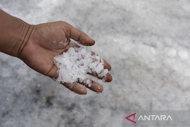 Pemerintah akan hentikan impor garam