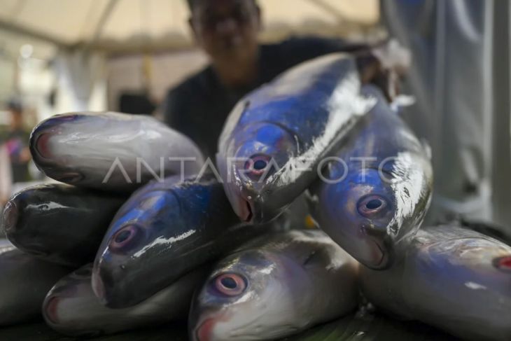 Festival Bandeng Rawa Belong