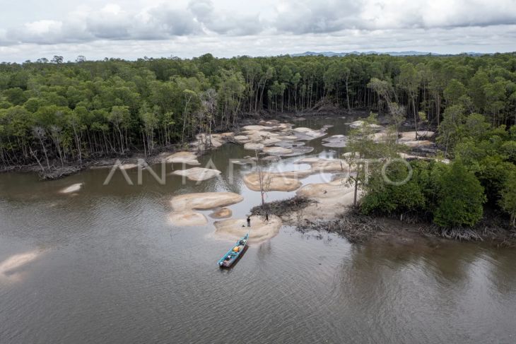 Kerusakan hutan mangrove akibat penambangan timah ilegal