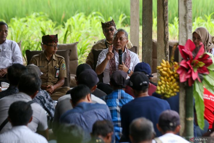 Menko Bidang Pangan dialog dengan petani