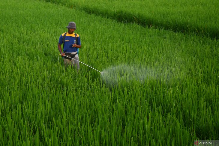 Nilai tukar petani Jawa Timur naik
