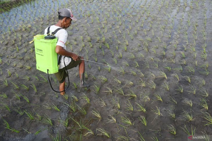 Nilai tukar petani Jawa Timur naik