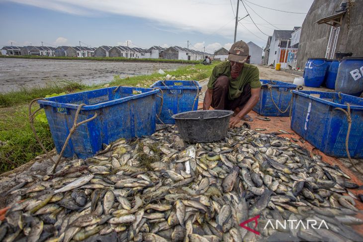 Penyaluran KPR Pekerja Informal
