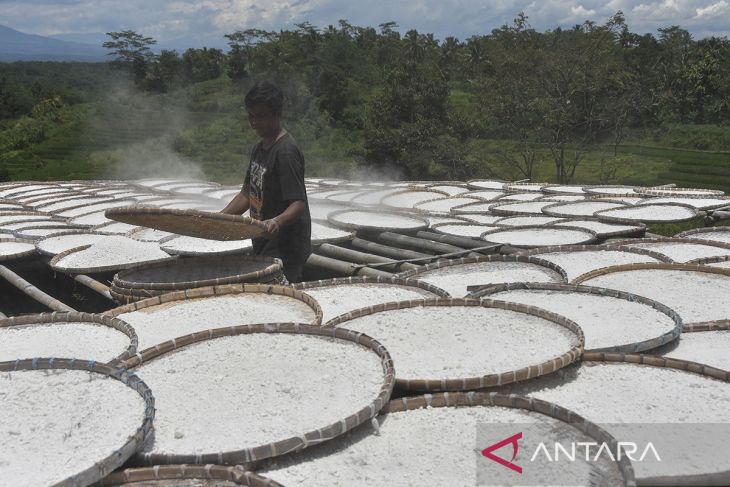 Penetapan harga singkong untuk industri tepung