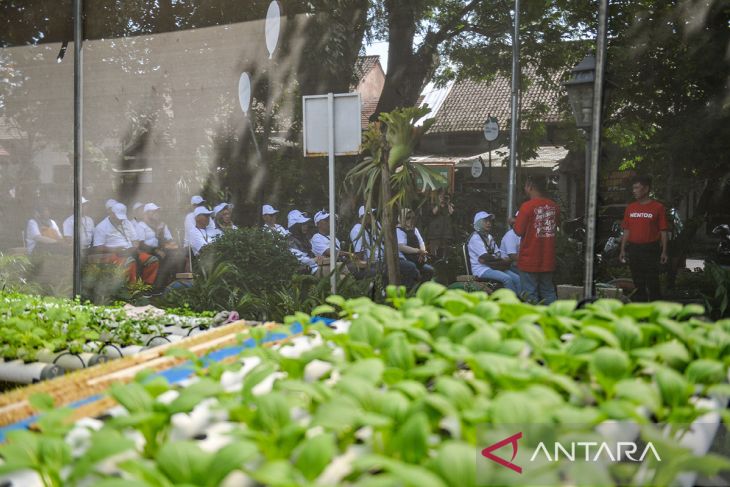 Pelatihan keterampilan hidroponik bagi karyawan jelang pensiun