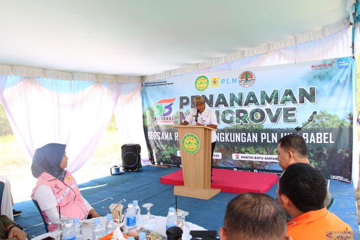 Kansar PangkalpinangTanam Manggrove di Pantai Batu Ampar