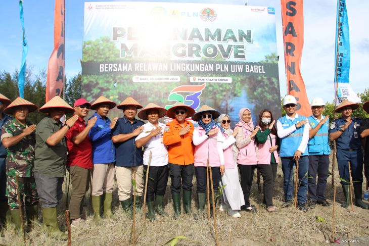 Kansar PangkalpinangTanam Manggrove di Pantai Batu Ampar