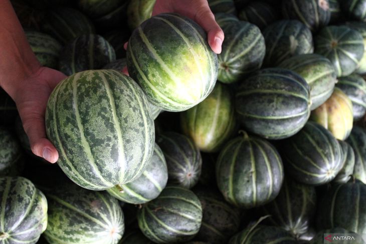 Penjualan buah di awal Ramadhan mulai meningkat