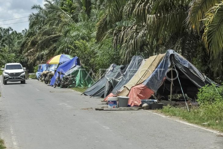 Korban banjir Tebo mengungsi di tenda darurat