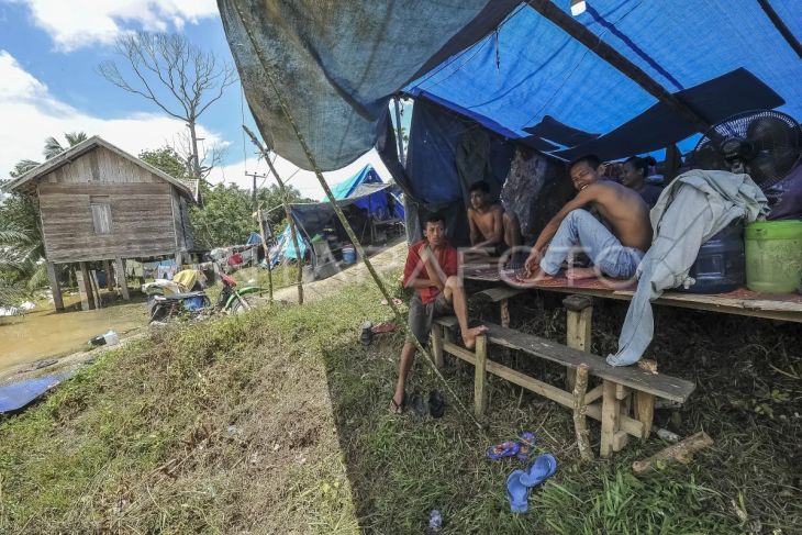 Korban banjir Tebo mengungsi di tenda darurat