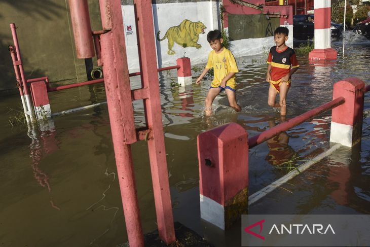 Banjir luapan Sungai Citanduy di Ciamis