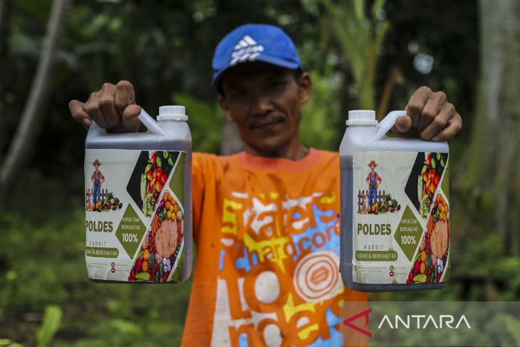 Pupuk organik cair dari urin kelinci