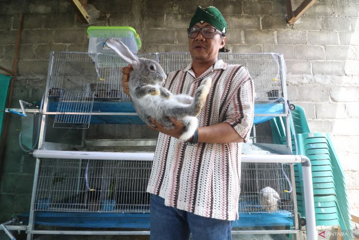 Ketahanan pangan rumah tangga melalui peternakan terintegrasi