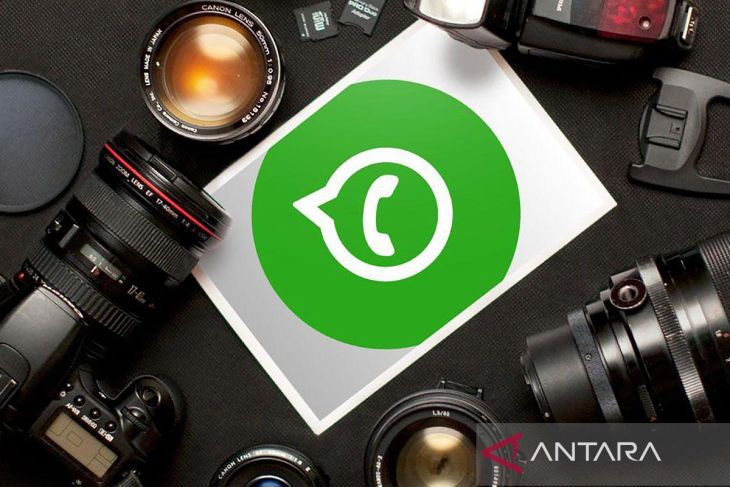 Cara menggunakan perplexity AI di WhatsApp