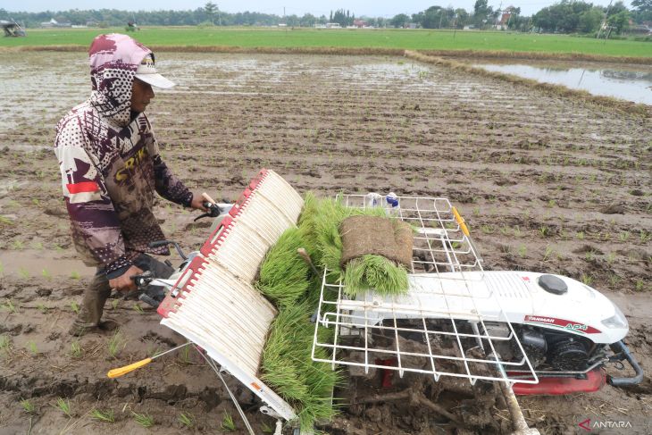 Penggunaan mesin tanam padi di Nganjuk