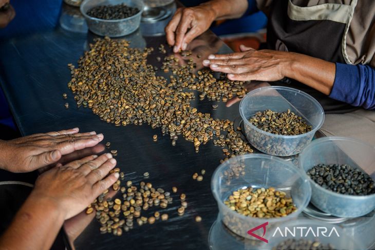 Kopi Wanoja diminati pasar mancanegara