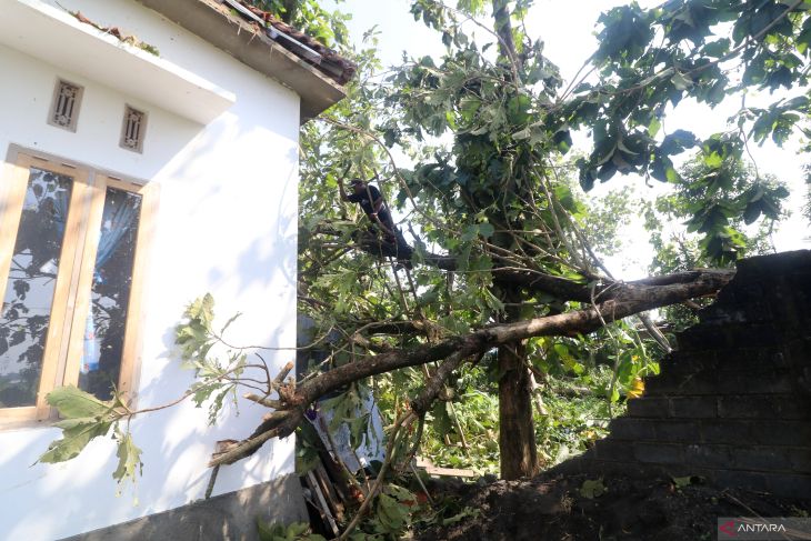 Dampak angin puting beliung di Kediri