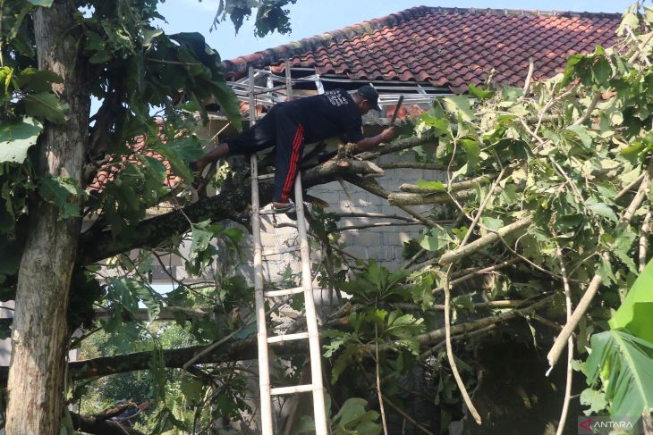 Dampak angin puting beliung di Kediri