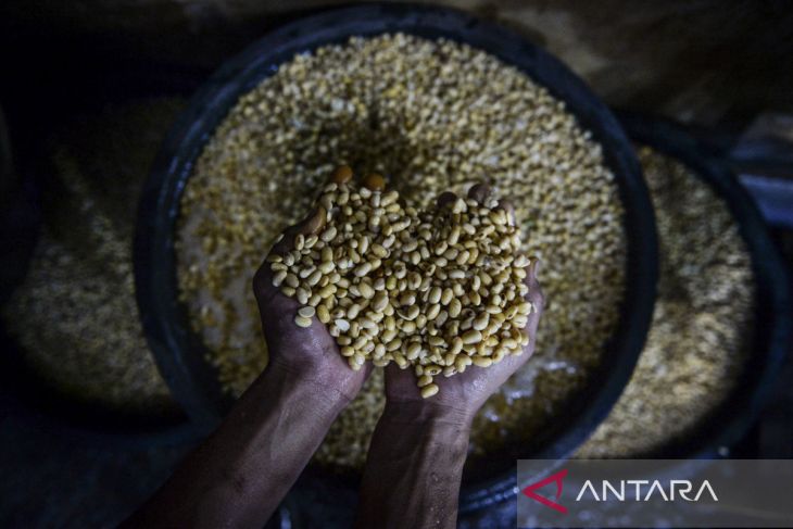 Industri tahu terdampak kenaikan harga kedelai