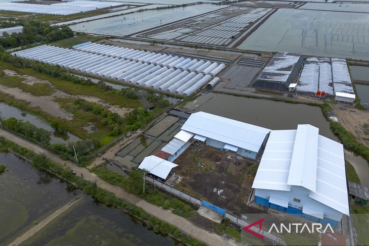 Rencana penghentian impor garam industri