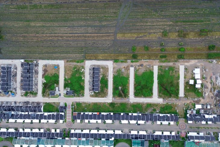 Luas panen padi di Jawa Timur menurun