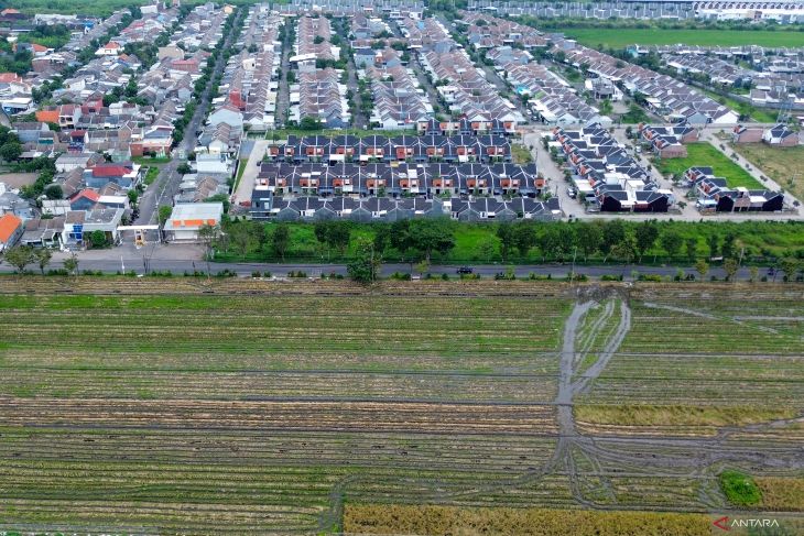 Luas panen padi di Jawa Timur menurun