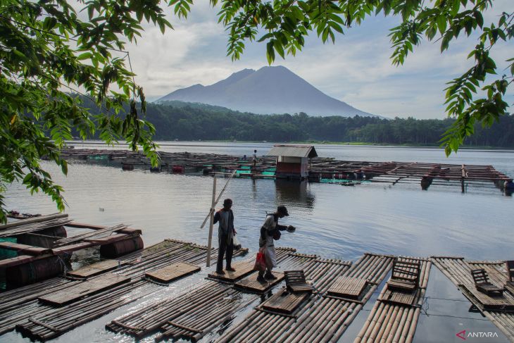 Budi daya ikan air tawar keramba di Ranu Klakah