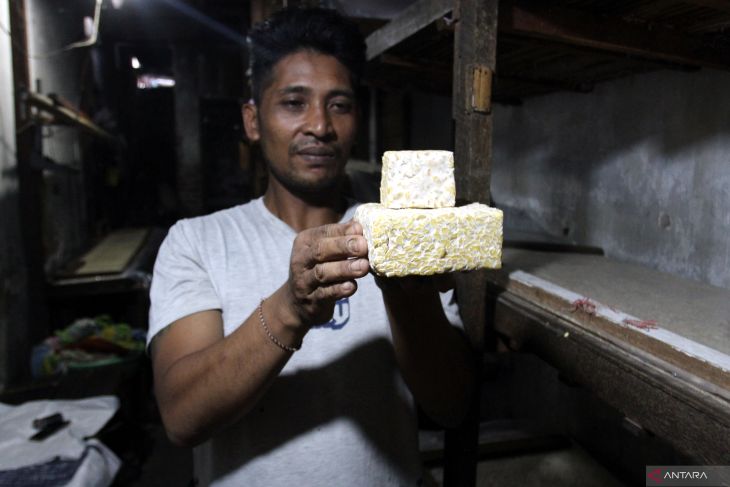 Dampak kenaikan harga kedelai di sentra industri tempe Malang