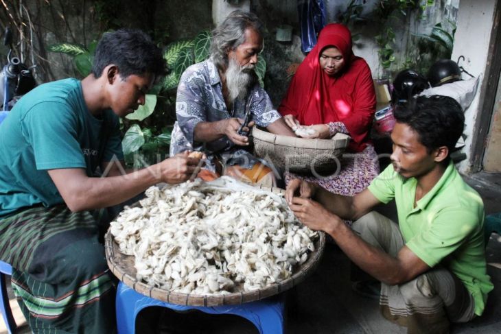Budi daya ulat sutra dengan metode berkelanjutan