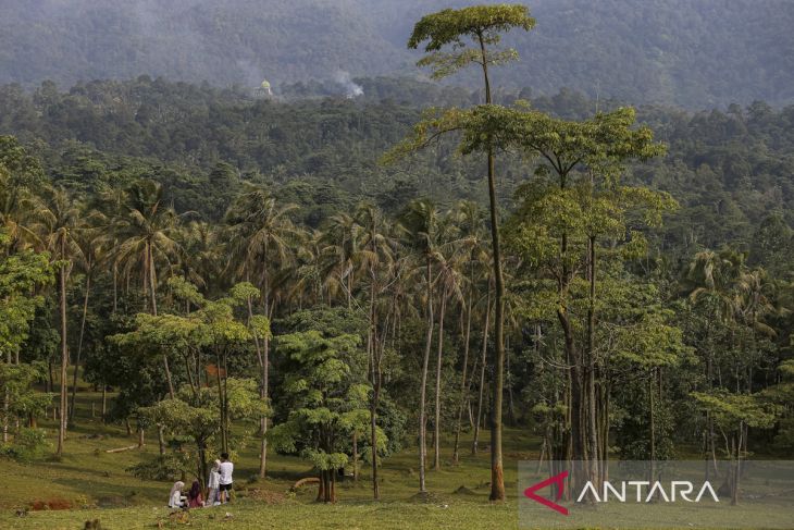 Agrowisata Bukit Waruwangi