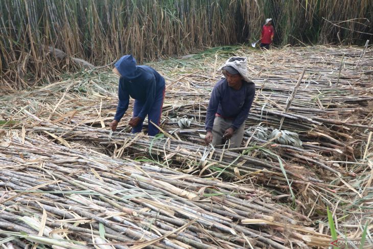 Jawa Timur lini terdepan swasembada gula